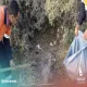 حملة بيئية لتنظيف البر من مخلفات الكشتات