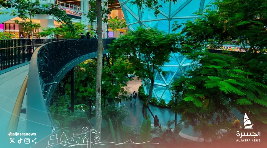 مطار حمد.. تحفة تجمع الطبيعة والريادة