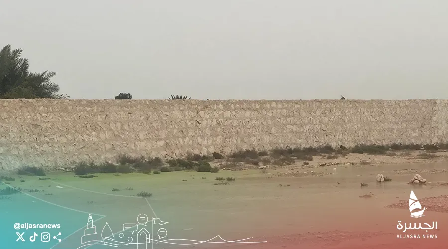 إجراءات قانونية ضد شركة لوقائع بيئية