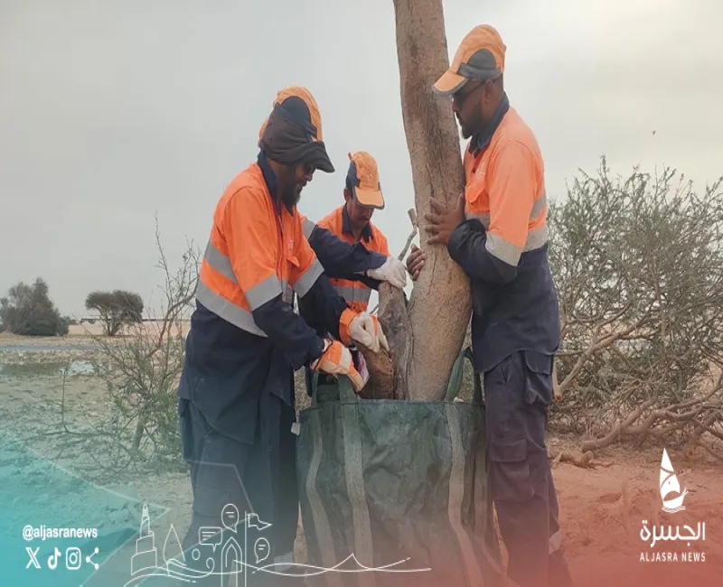 البيئة تحذر من السيول والعبث بالغطاء النباتي