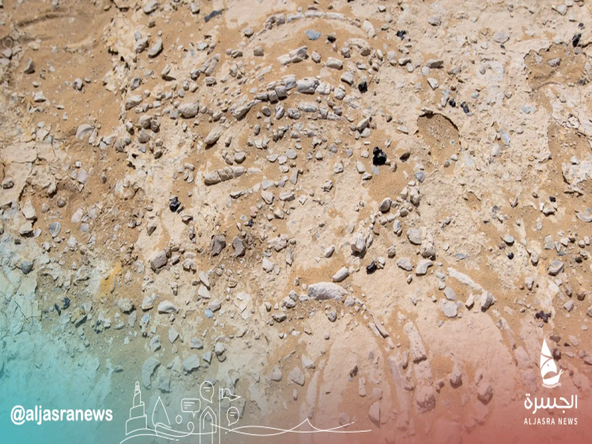 قطر تكتشف نوعا جديدا من بقر البحر القديم