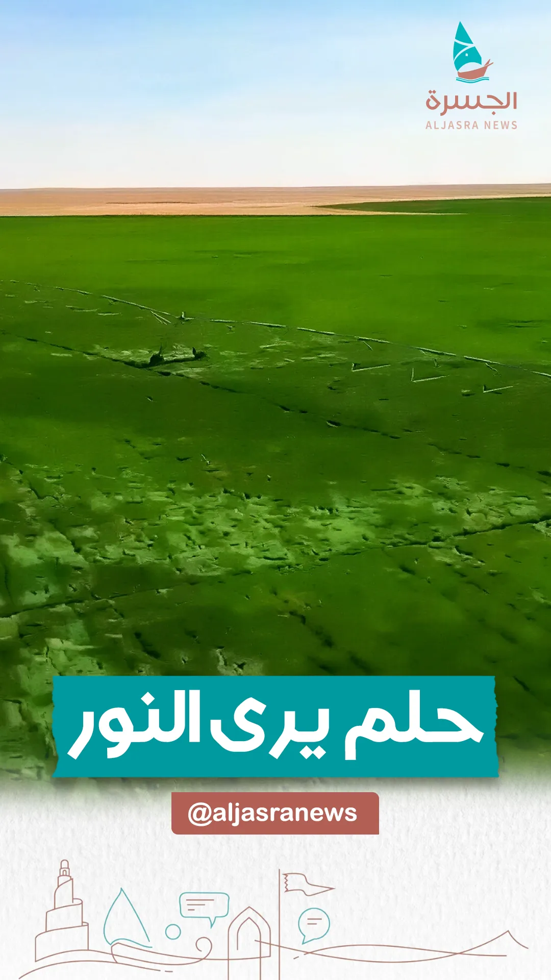 حلم يتحقق.. "بلدنا" ينقل معجزة قطر الغذائية للجزائر