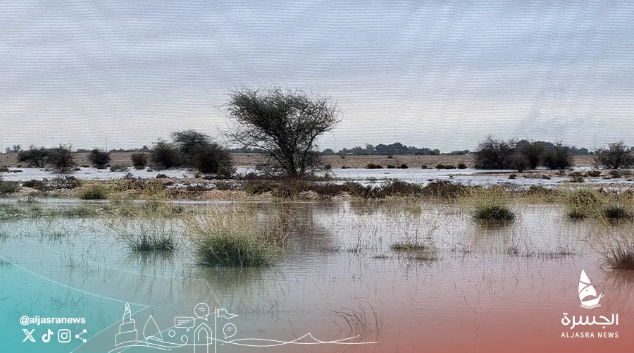 الأمطار الغزيرة تكسو الروض والبر باللون الأخضر