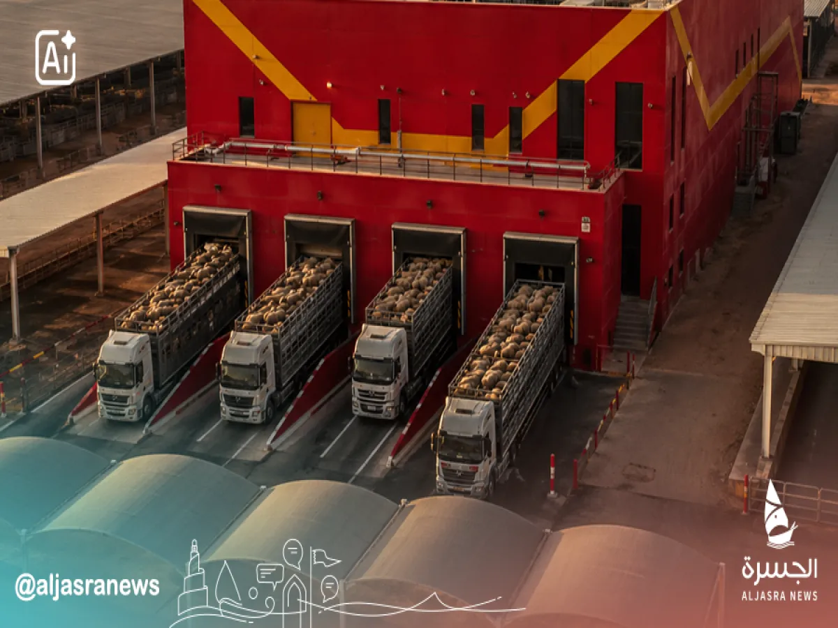 توفر 25 ألف رأس من الأغنام للعيد