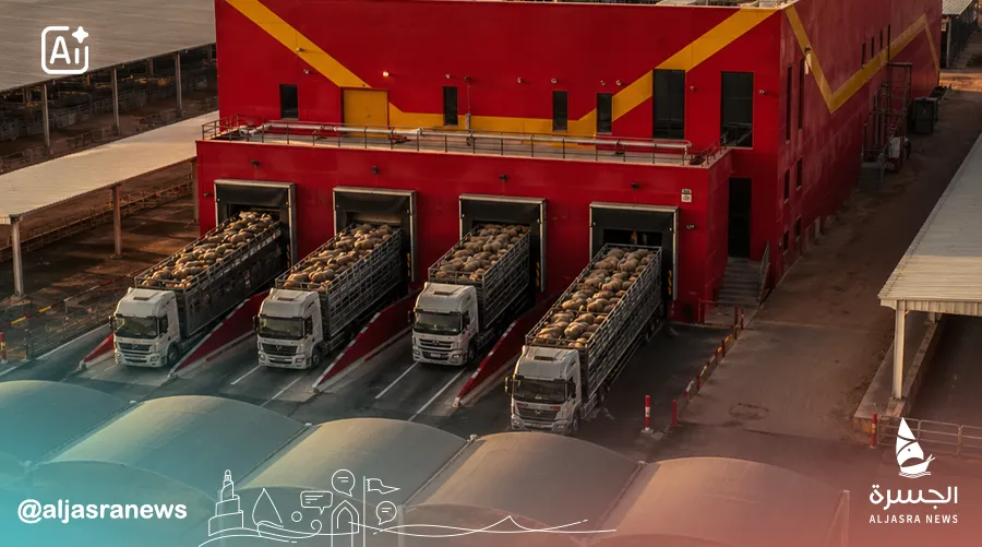 توفر 25 ألف رأس من الأغنام للعيد