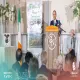 معالي رئيس الوزراء يحصل على جائزة "تيبيراري الدولية للسلام"