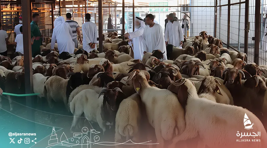 توقعات بارتفاع أسعار الأضاحي قبل العيد