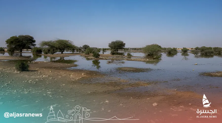 بدء موسم المربعانية وظهور الفقع بالبراري