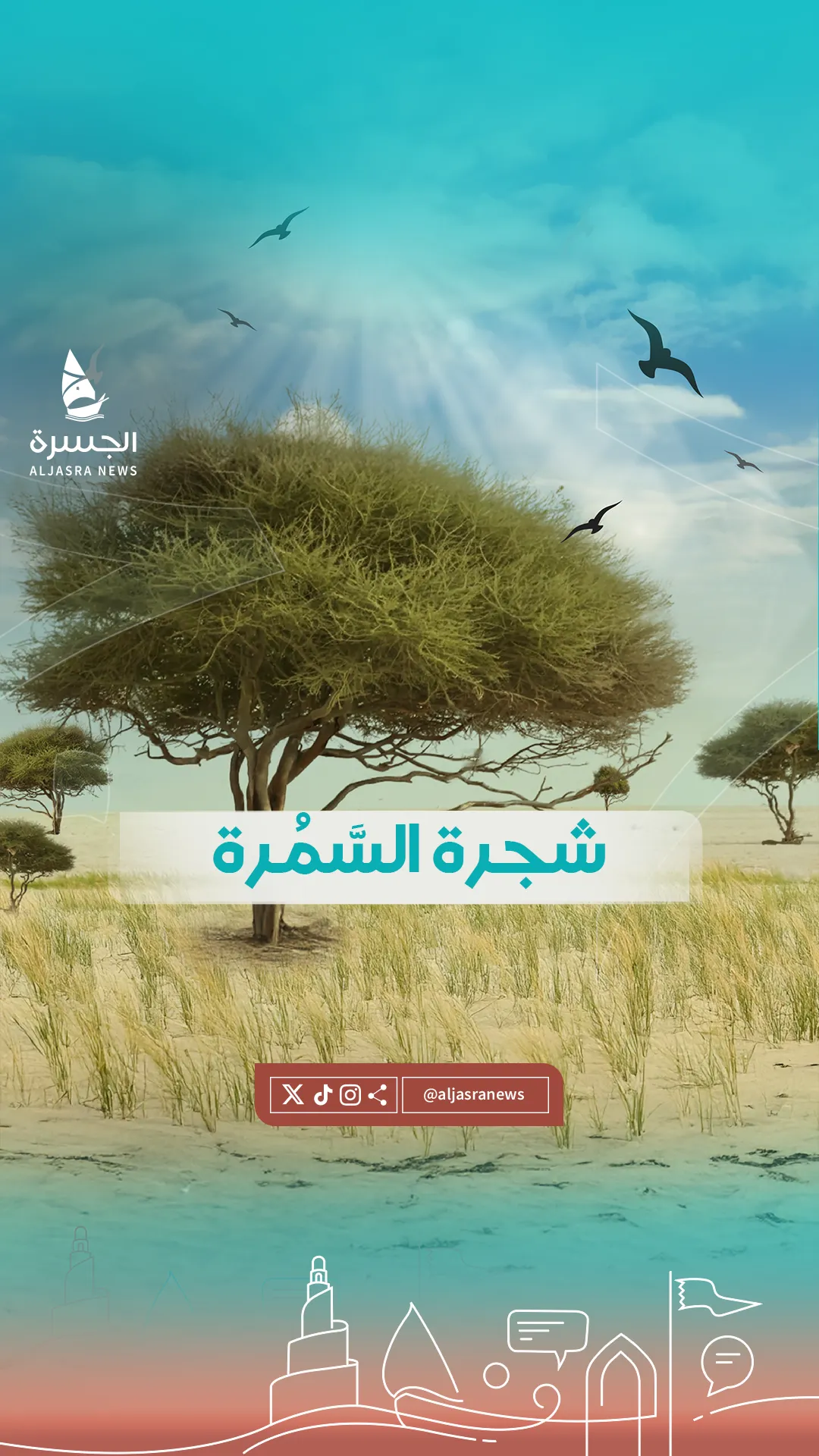 شجرة السمُرة.. إرث نبوي ورمز بيئي أصيل في دولة قطر